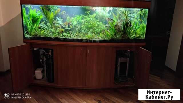 Аквариум красавец Самара - изображение 1