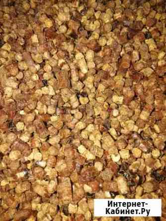 Перга лесная Санкт-Петербург