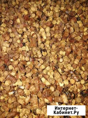 Перга лесная Санкт-Петербург - изображение 1