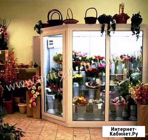 Цветочная холодильная камера Пушкино - изображение 1