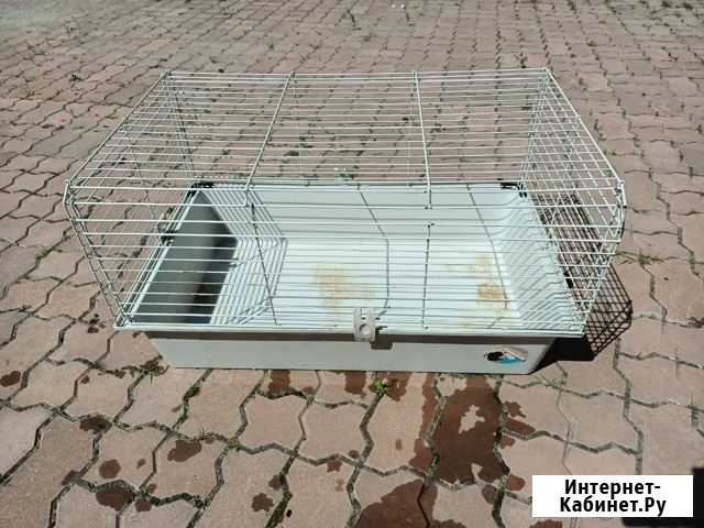 Клетка для питомцев. Обмен Новосибирск - изображение 1