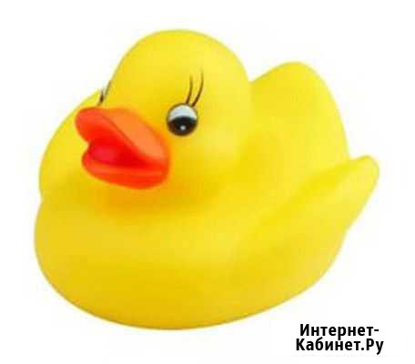 Поющая утка для ванной Санкт-Петербург - изображение 1