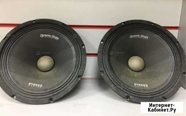 Колонки Dunamic State PM-250.1 Pro Саратов - изображение 1