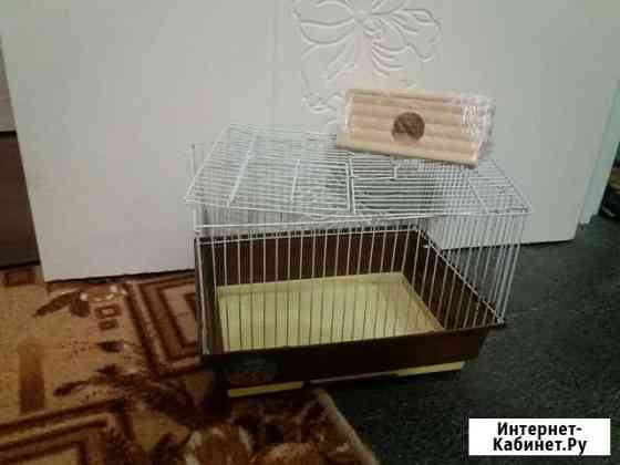 Клетка для хомяка Казань