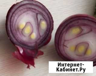 Лук на перо Ред Барон Городище - изображение 1