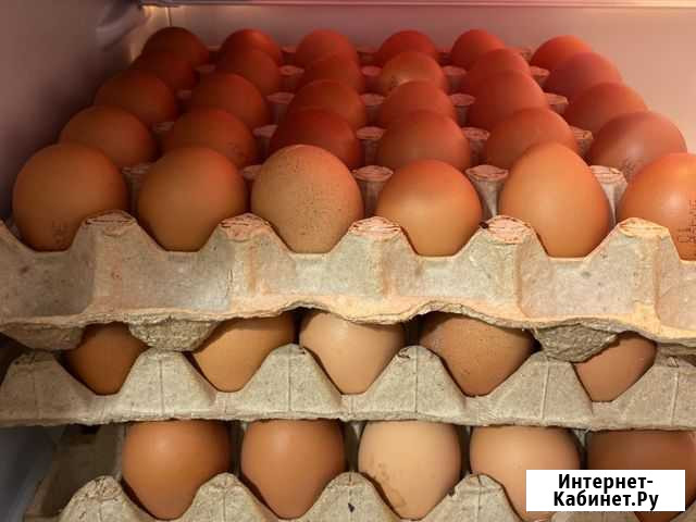 Продукты питания Мурманск - изображение 1