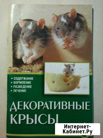 Книга Декоративные крысы Североморск - изображение 1