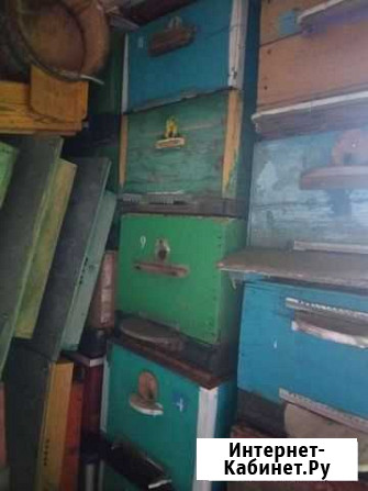 Ящик для транспортировки пчел,ульи,рамки,магазины Углич - изображение 1