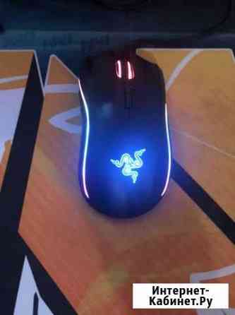 Игровая мышь razer mamba Королев