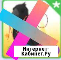 Петы адопт ми Ярославль - изображение 1