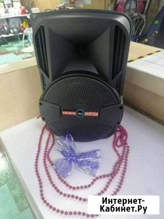 Колонка BIG sound DG-1011 Черемхово - изображение 1