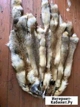 Шкуры лисьи Владимир