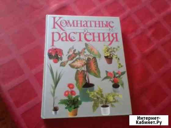 Комнатные растения (книга) Камышин