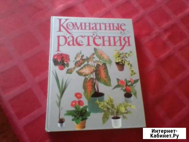 Комнатные растения (книга) Камышин - изображение 1