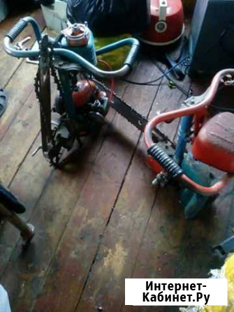 Две бензопилы Дружба-4 Томск - изображение 1