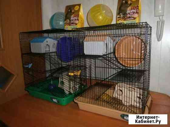 Новая 4 ур. клетка + набор для хомяков, крыски Екатеринбург