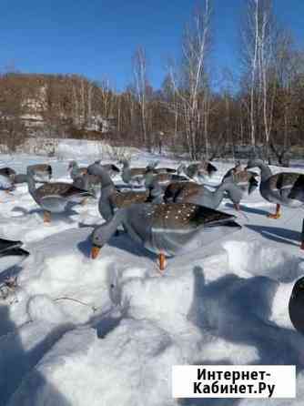 Гусь профиль в наличии Благовещенск