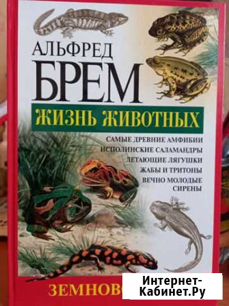 Книги Бор - изображение 1