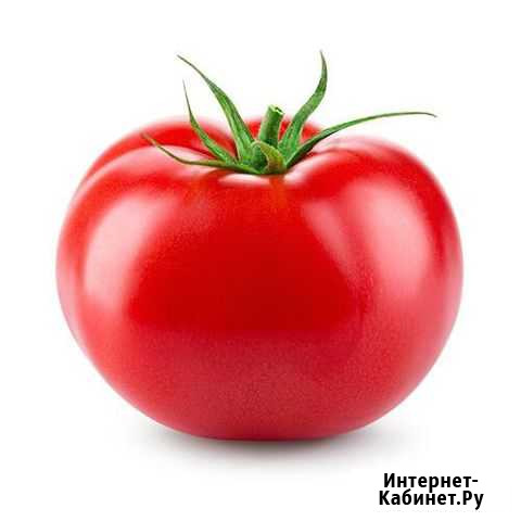 Семена томатов Екатеринбург - изображение 1
