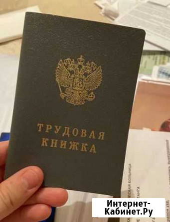 Трудовая книжка TK- VI чистая Саранск - изображение 1