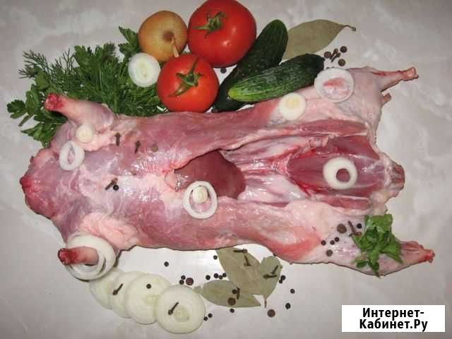 Мясо нутрий Каменск-Шахтинский - изображение 1