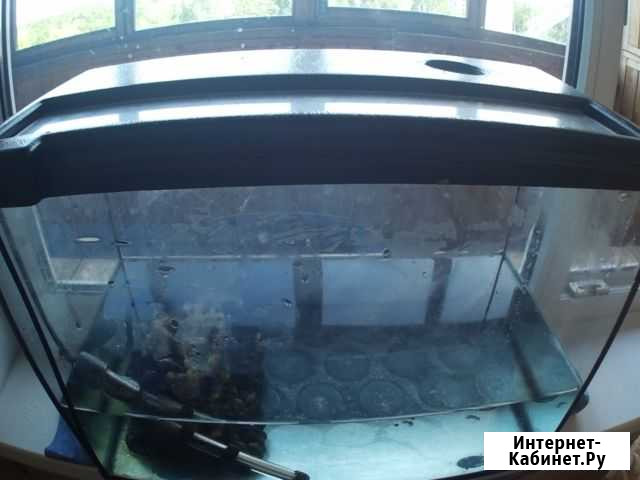 Продам аквариум с нагревателем воды Мытищи - изображение 1