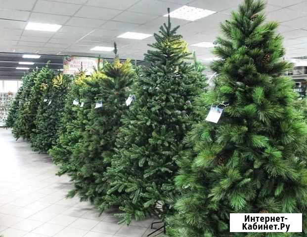 Ёлочки от 150 см. Литые и не только Новосибирск - изображение 1