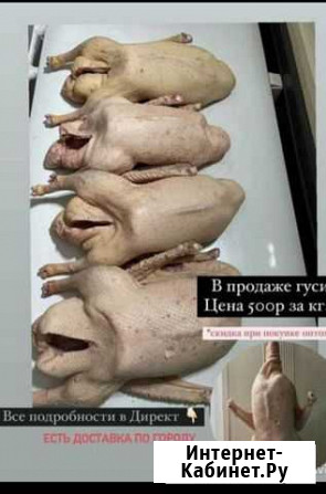 Тушка гуся, живой гусь Набережные Челны - изображение 1
