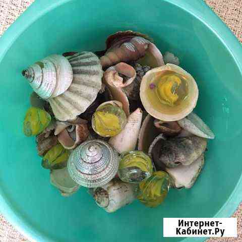 Ракушки для декора аквариума Юрга