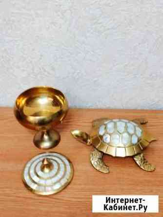 Черепаха шкатулка длина 19 Тюмень