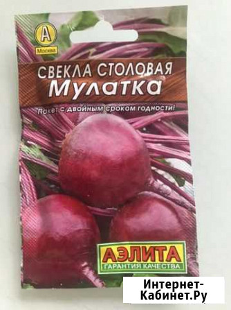 Семена овощей Свердловский - изображение 1