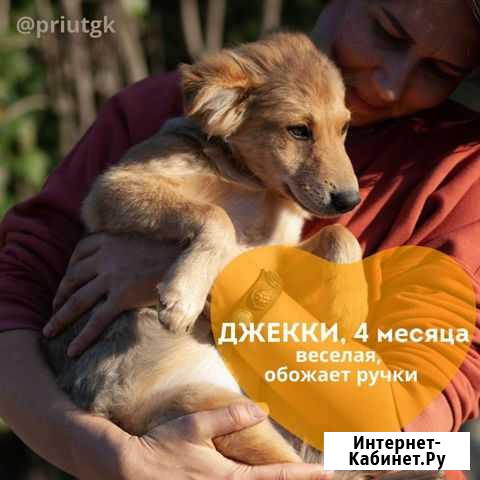 Джеки Краснодар - изображение 1