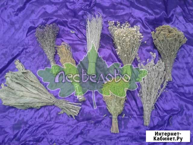 Травы для бани донник душица полынь мята и др Воронеж - изображение 1