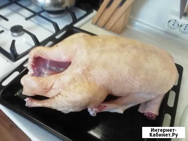 Продам мясо гуся Великий Новгород - изображение 1