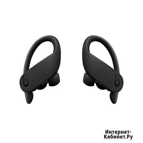 Beats Powerbeats Pro Black (Apple) Петрозаводск - изображение 1