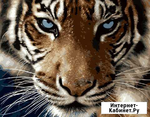 Картина по номерм 40*50 Кемерово - изображение 1