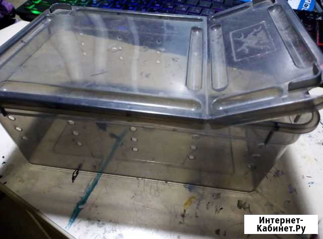 Контейнер для насекомых Красноярск - изображение 1