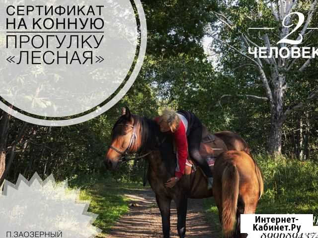 Сертификат на конную прогулку Петропавловск-Камчатский - изображение 1