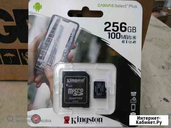 Memory card micro SD Kingston 256GB V30 Москва