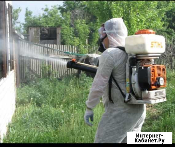 Обработка насекомых Бузулук - изображение 1