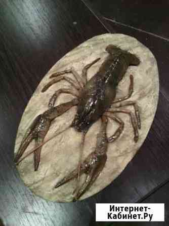 Рак скульптура Волгоград