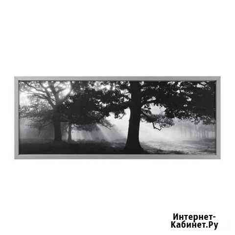 Картина B&W Мурино