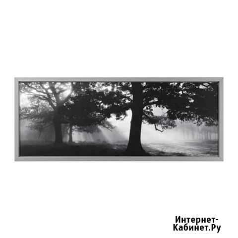 Картина B&W Мурино - изображение 1