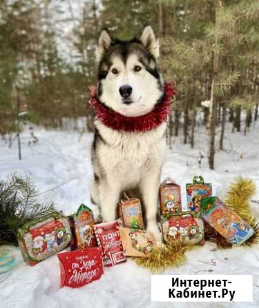 Подарочный набор Братск - изображение 1