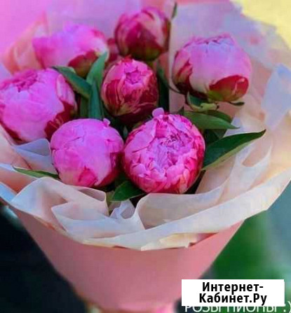 Пионы Воронеж - изображение 1
