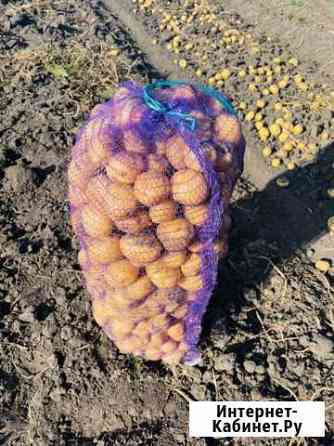 Продам картофель Липецк