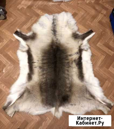 Шкура оленя Санкт-Петербург - изображение 1