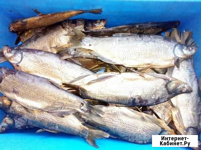 Чехонь вяленный Комсомольск-на-Амуре - изображение 1