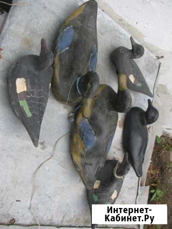 Подсадные резиновые утки (18 шт.) Симферополь - изображение 1