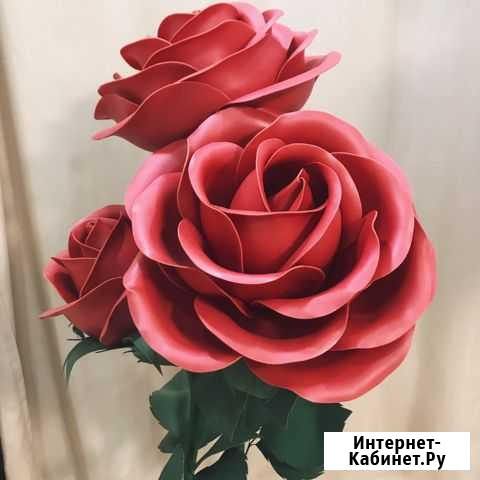 Ростовые цветы Тольятти - изображение 1
